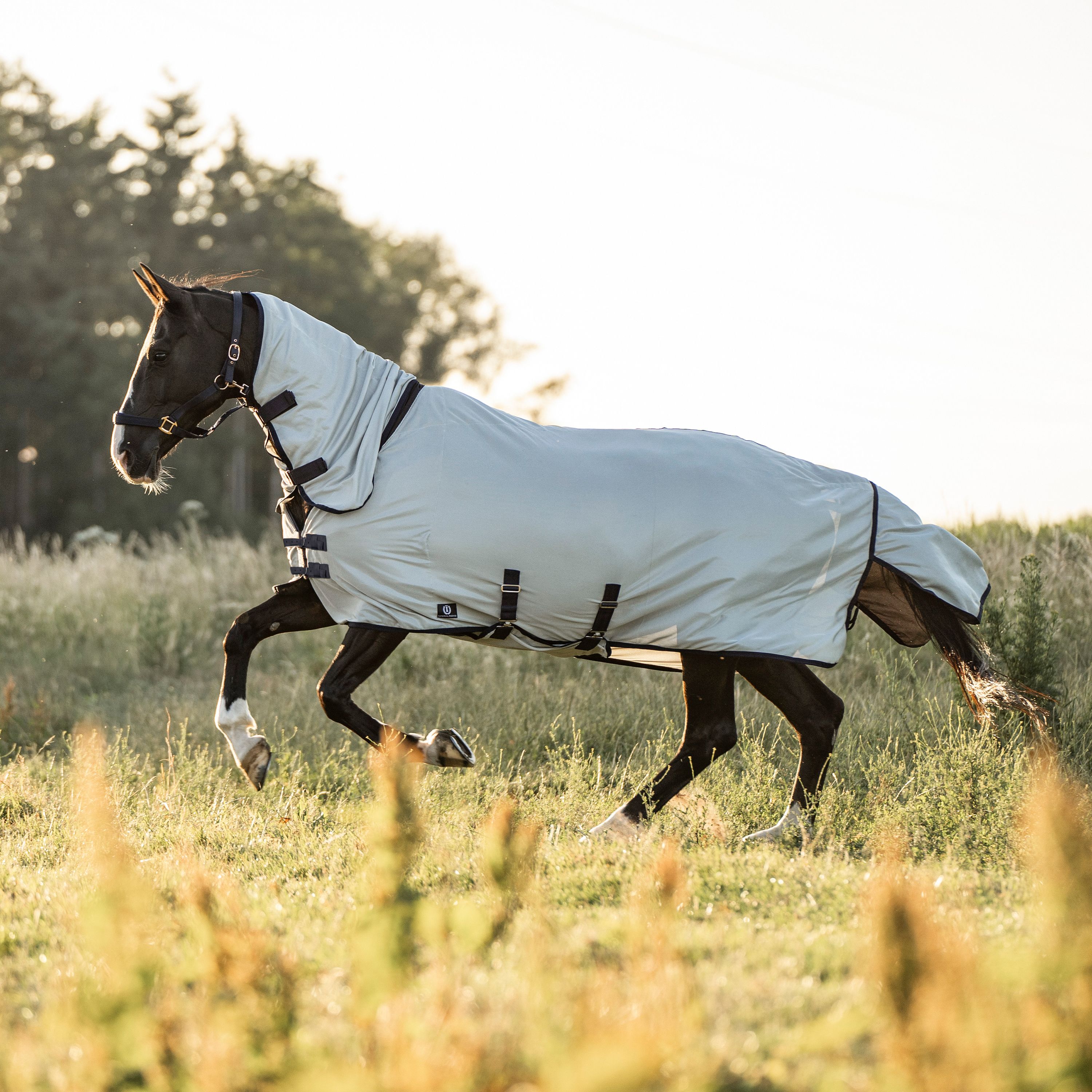 Flugtäcke Reese | 75-165 cm