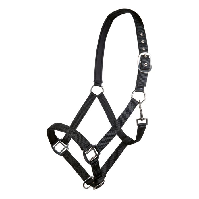 Nylongrimma Charming | Ponny-XF
