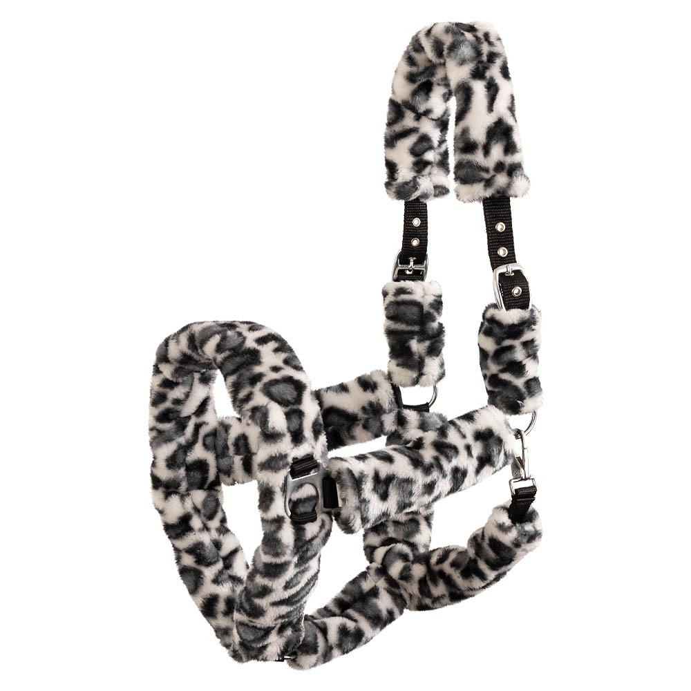Luddgrimma Leopard | Shetland-Full