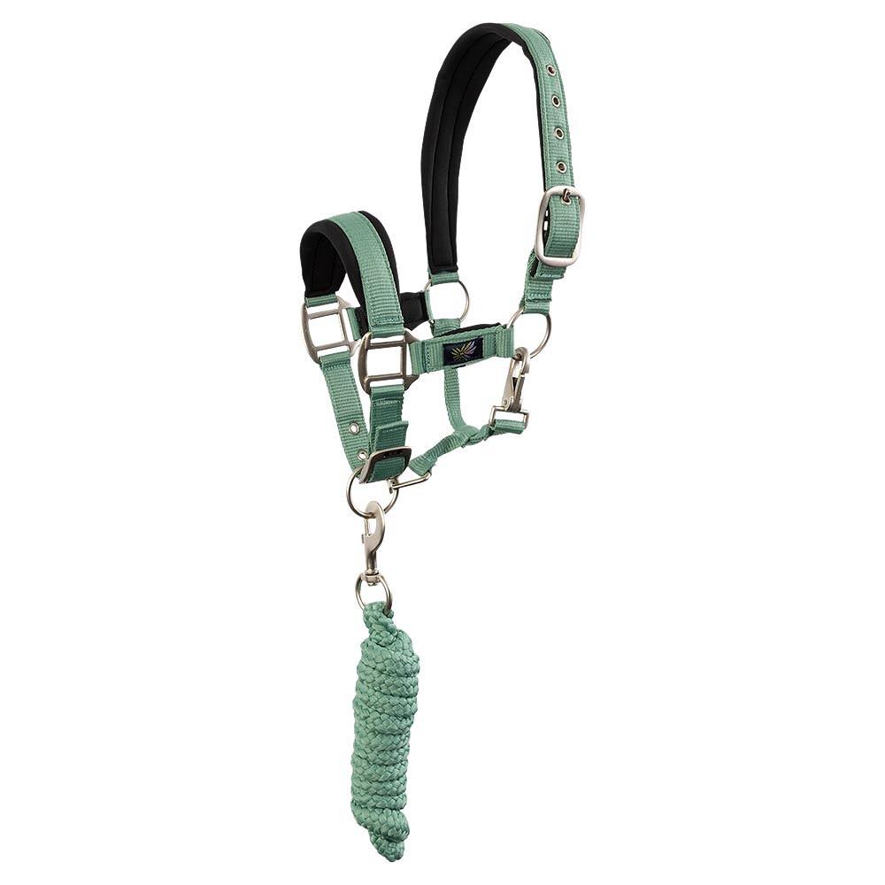 Nylongrimma set Mini | Shetland-Cob