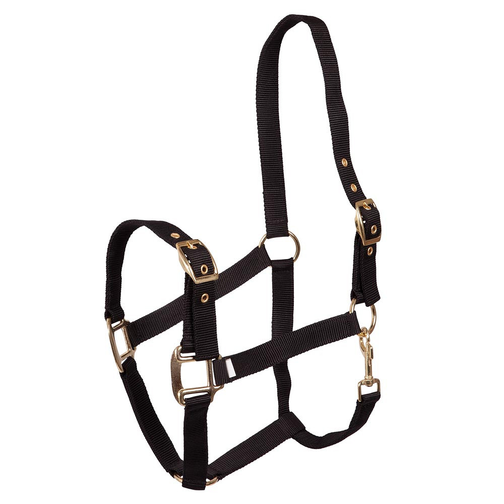 Nylongrimma | Ponny-Full
