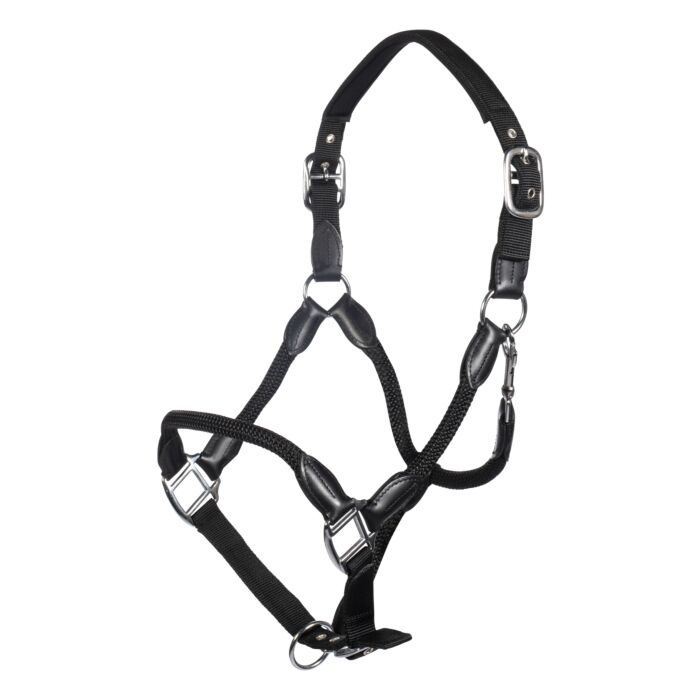 Nylongrimma Carlotta | Ponny-Full