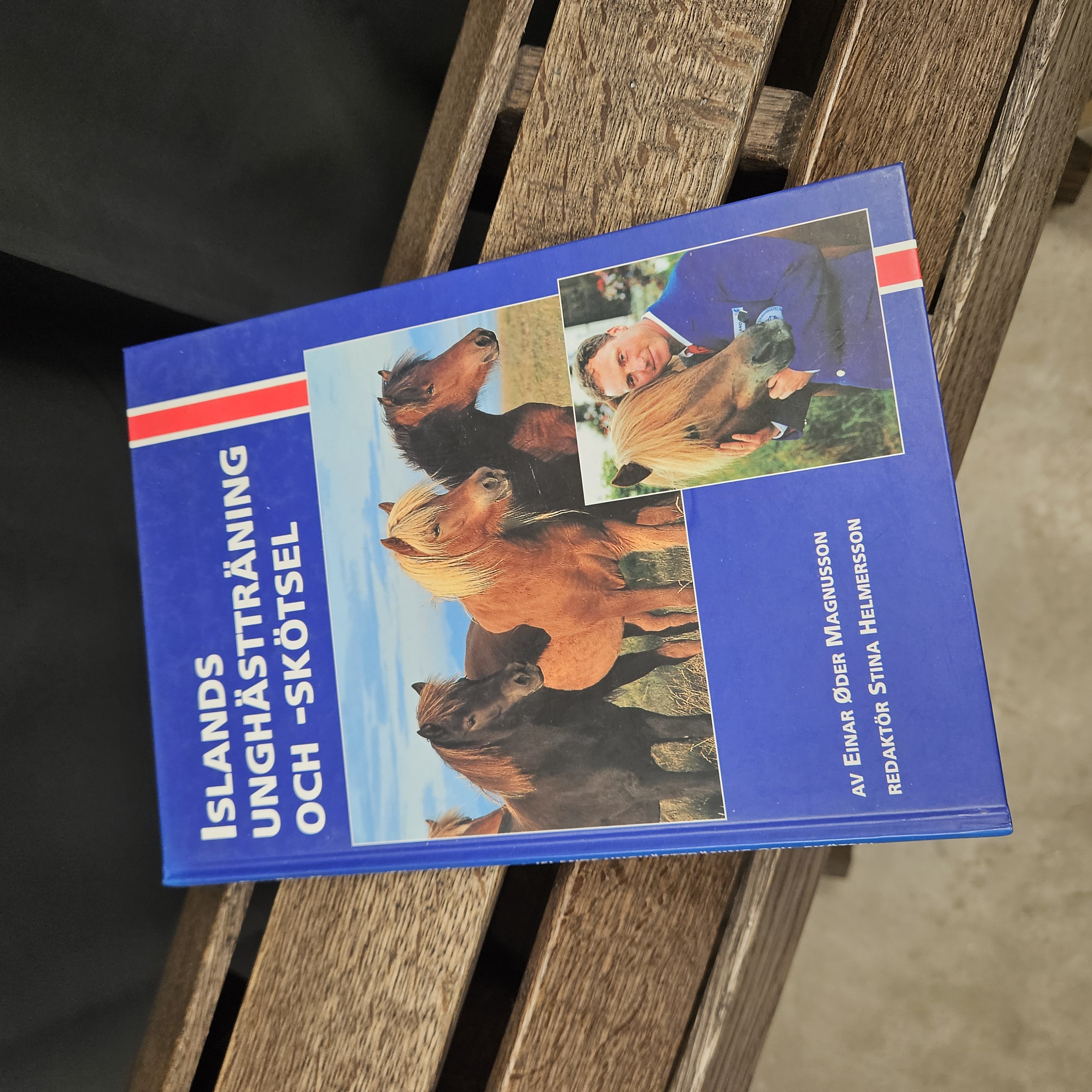 Islands unghästträning och -skötsel