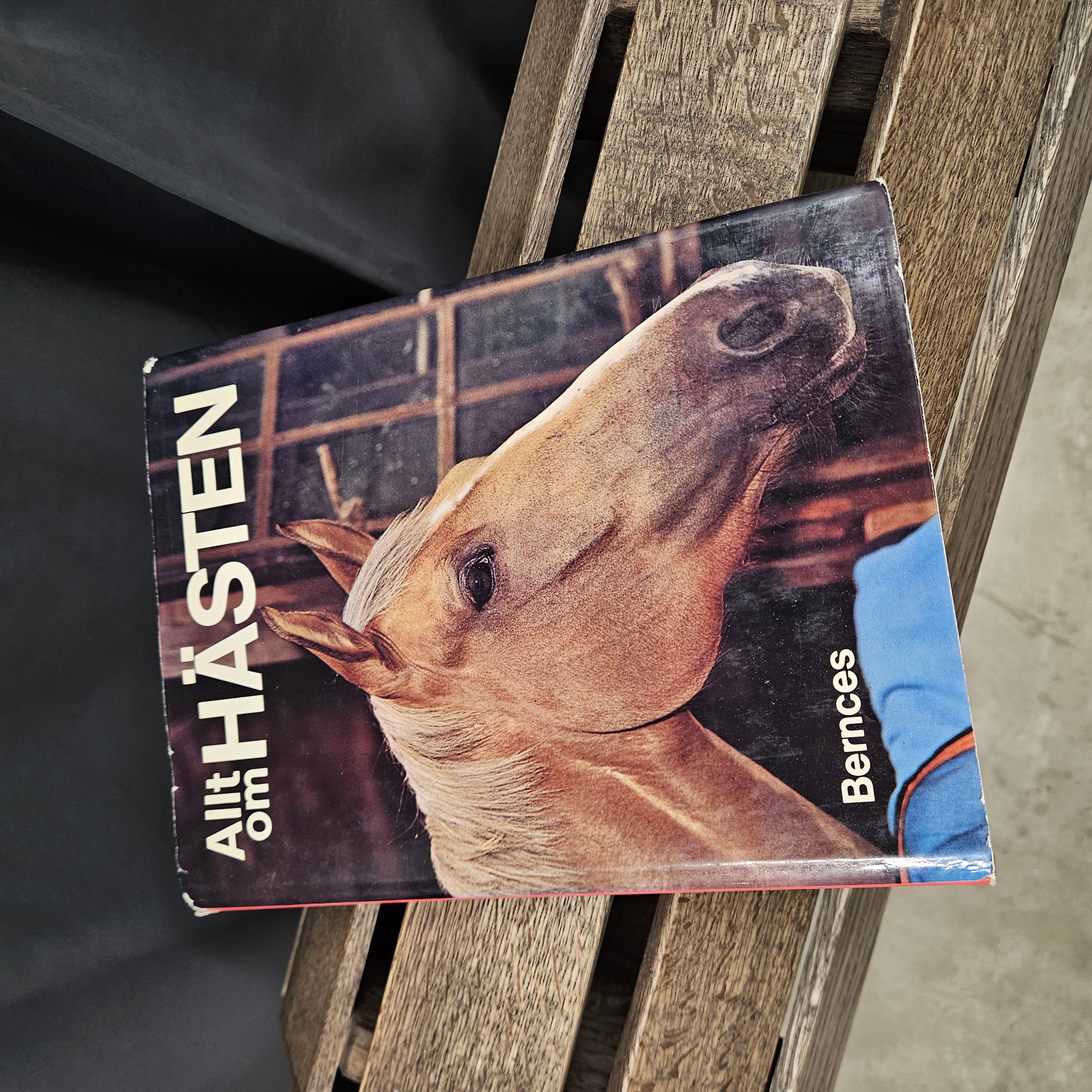 Bok: Allt om hästen