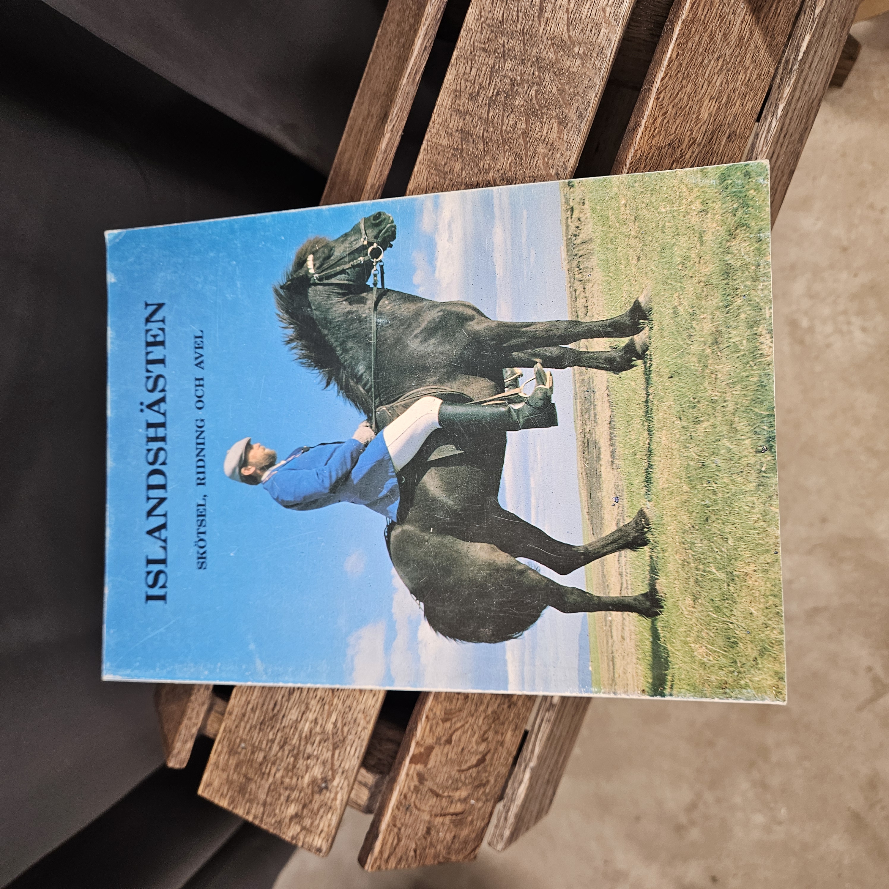 Bok: Islandshästen