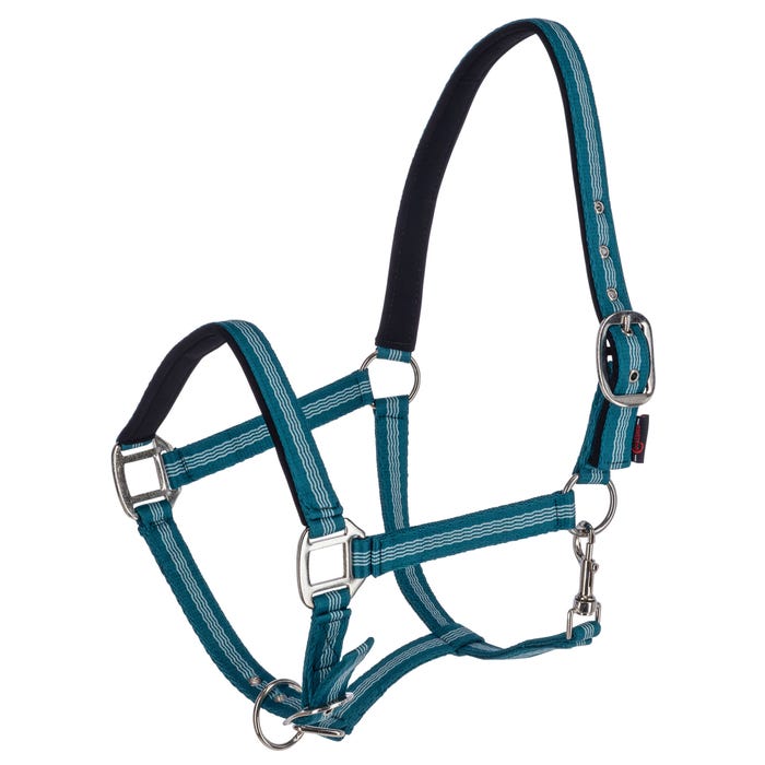 Nylongrimma Mustang