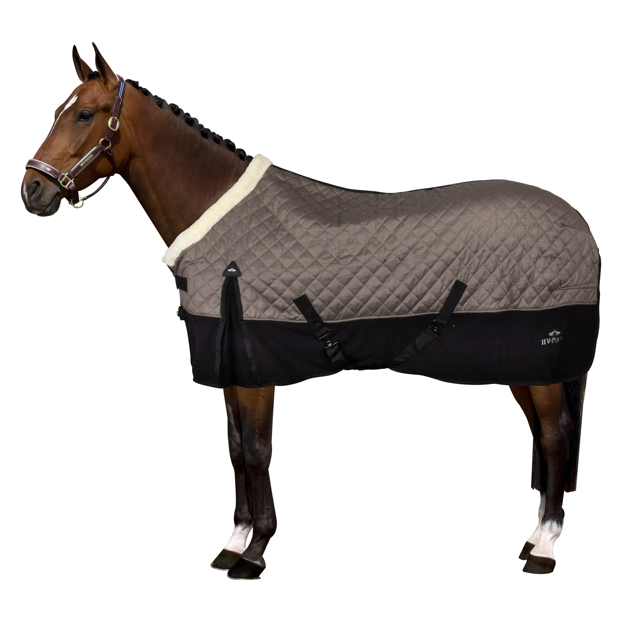 Stalltäcke Francis | 125-