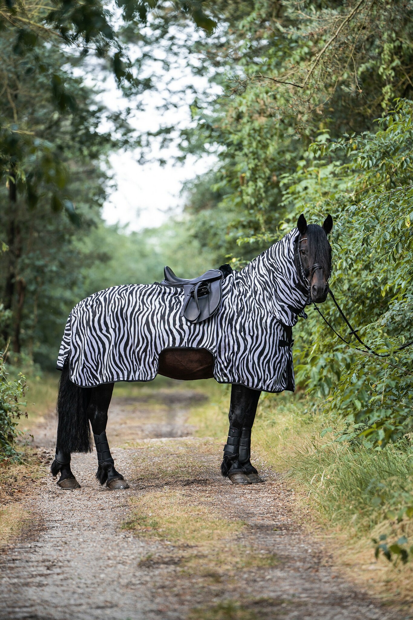 Ridflugtäcke Zebra | 95-165 cm